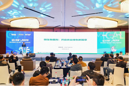 1776057587344734.png 04.png