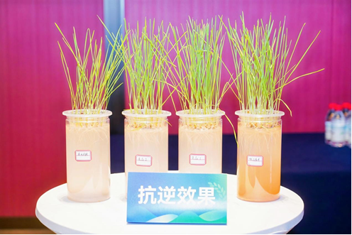 1776057981446329.png 19.png