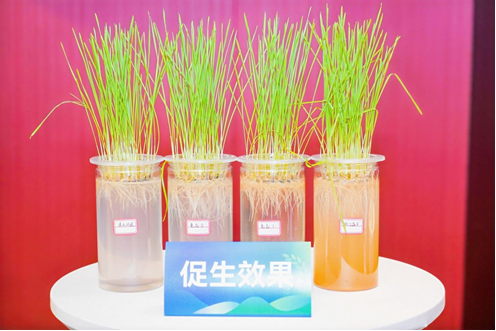 1776057989303695.png 20.png