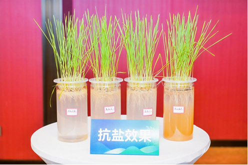 1776057997677820.png 21.png